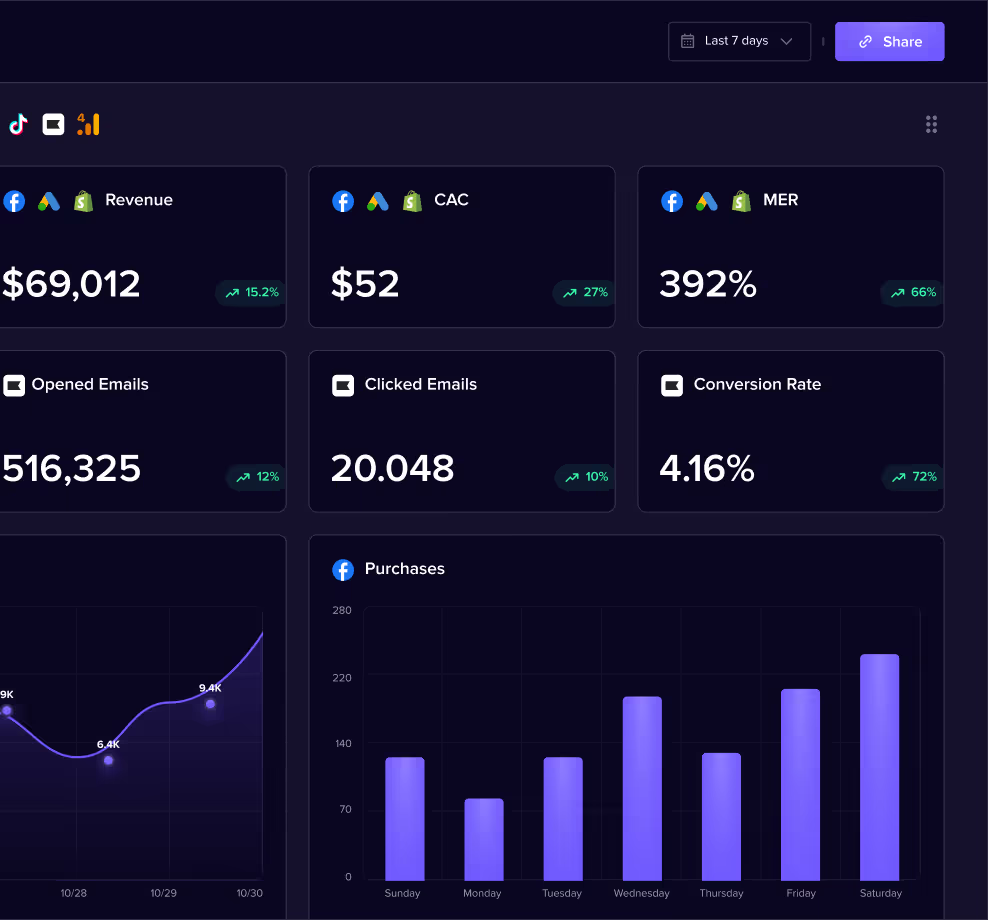 Madgicx Business Dashboard