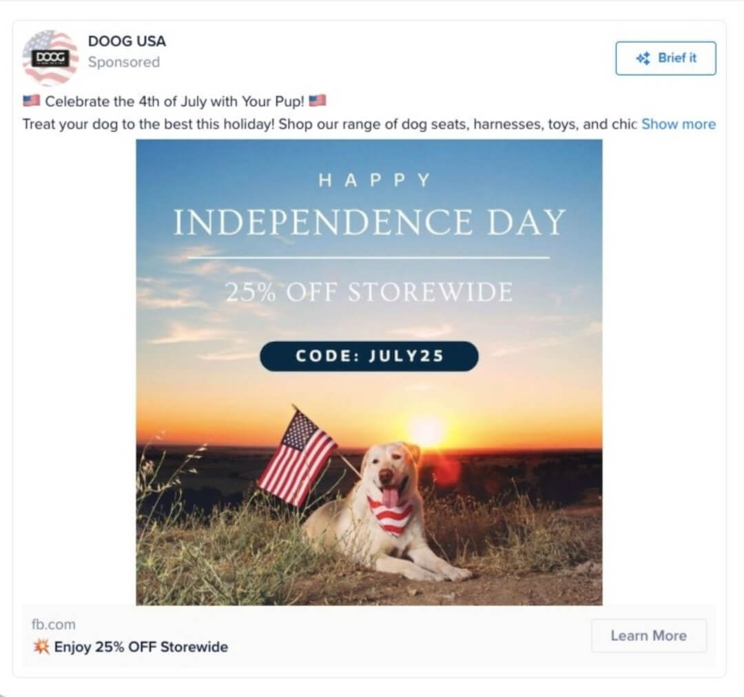 Ad Ideas - Doog USA example